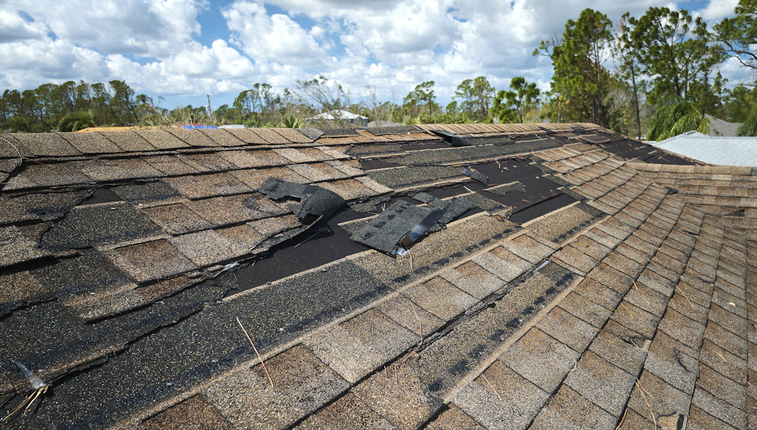 damaged roof shingles