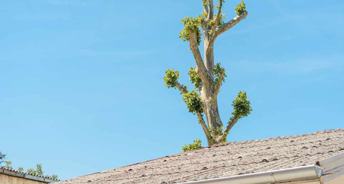 sagging roof